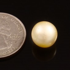 South sea pearl 9.09cts. /9.99ratti