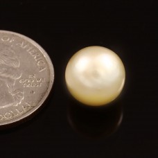 South sea pearl 10.67cts. /11.73ratti