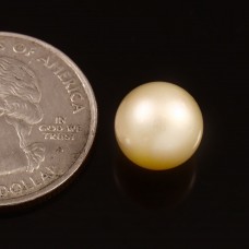 South sea pearl 7.25cts. / 7.97ratti