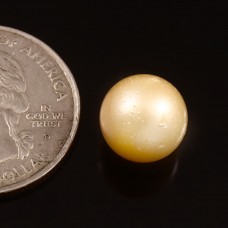 South sea pearl 8.94cts. / 9.83ratti