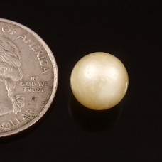 South sea pearl 7.71cts. / 8.48ratti