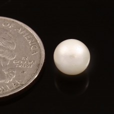 South sea pearl 3.39cts. /3.72ratti