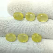 Yellow Sapphire Heated Lot