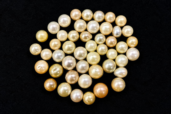 South Sea pearl Wholesale Lots